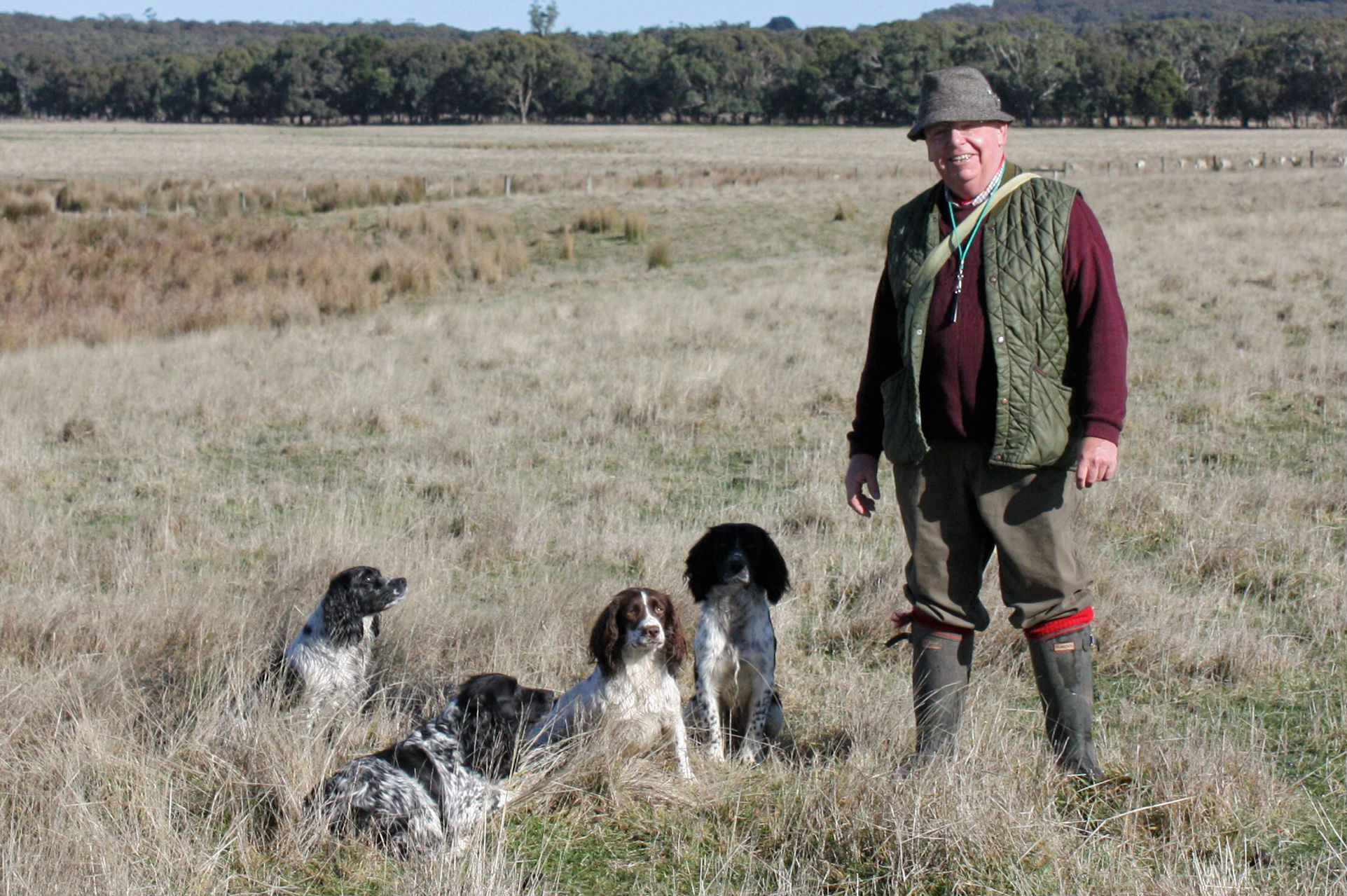 glastonpark spaniels